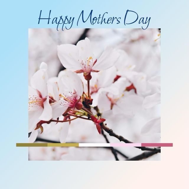 Today is a day to celebrate all the incredible women who have shaped the lives of others with their love, sacrifice and unwavering support.

May your mothers day be as beautiful and radiant as you are. 

Happy Mothers Day. 

#pilatestrystudios #mothersday #celebrate #love #inspire #evolve